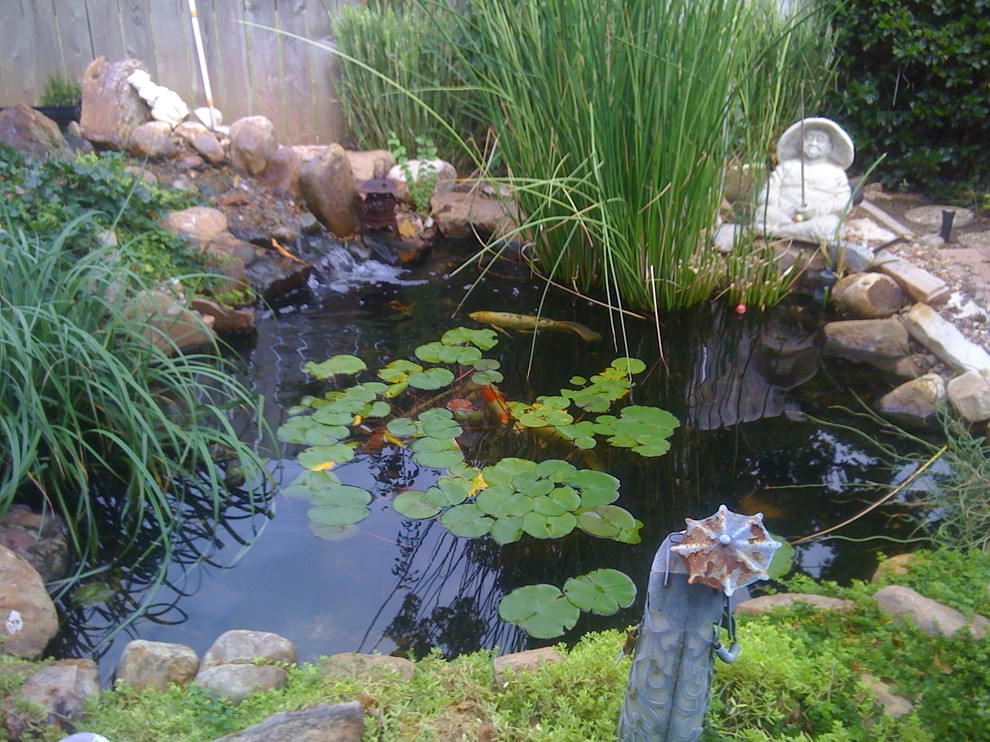 Ecosystem Ponds and Water Gardens By Continental Ponds Traditional