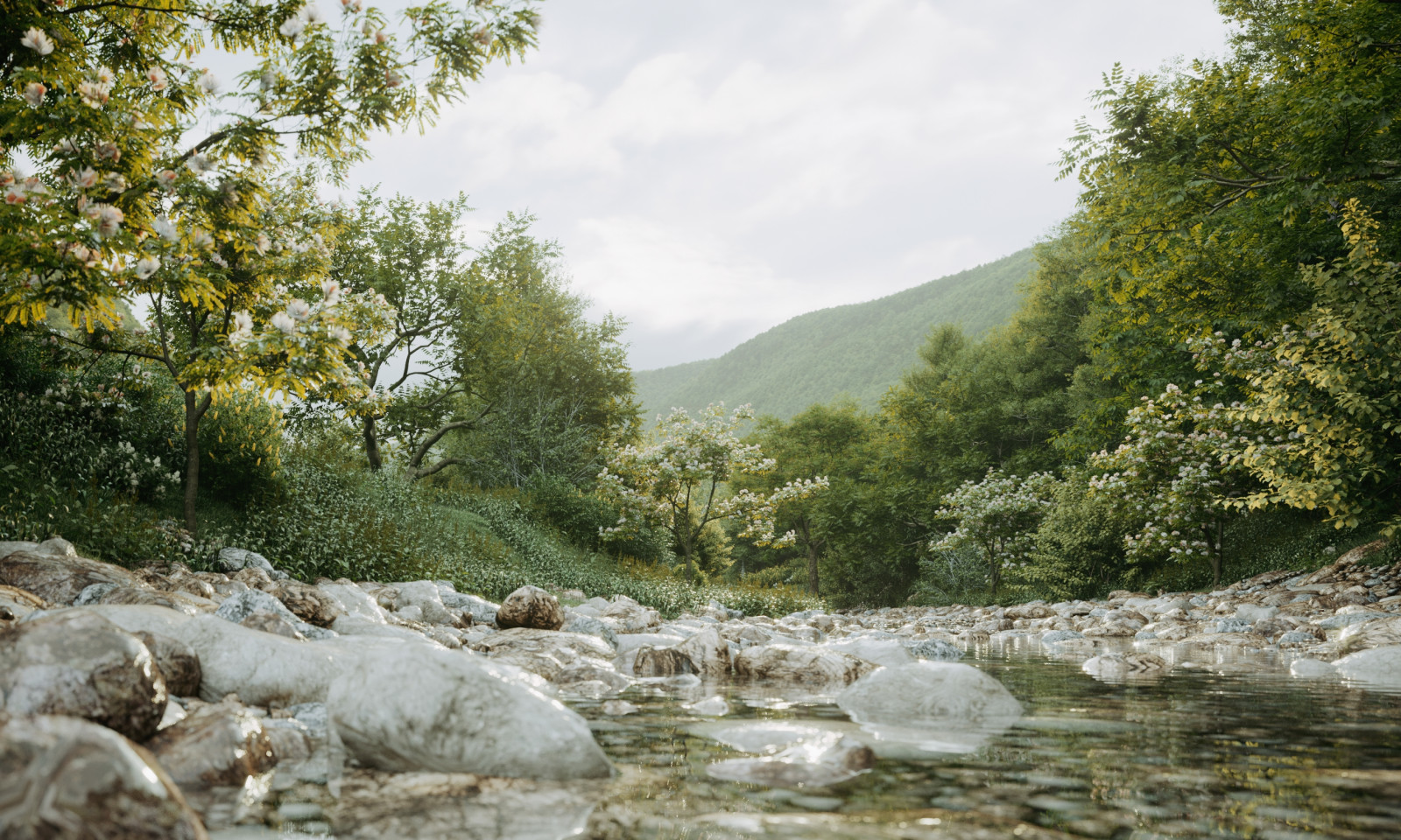 Дом в Грузии