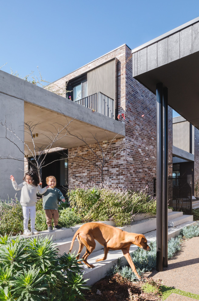 Großer Moderner Garten mit direkter Sonneneinstrahlung in Sydney