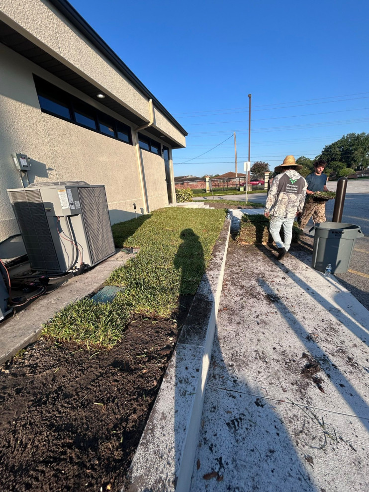 Commercial Sod Installation
