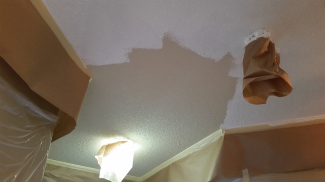 Ceiling Repaint 