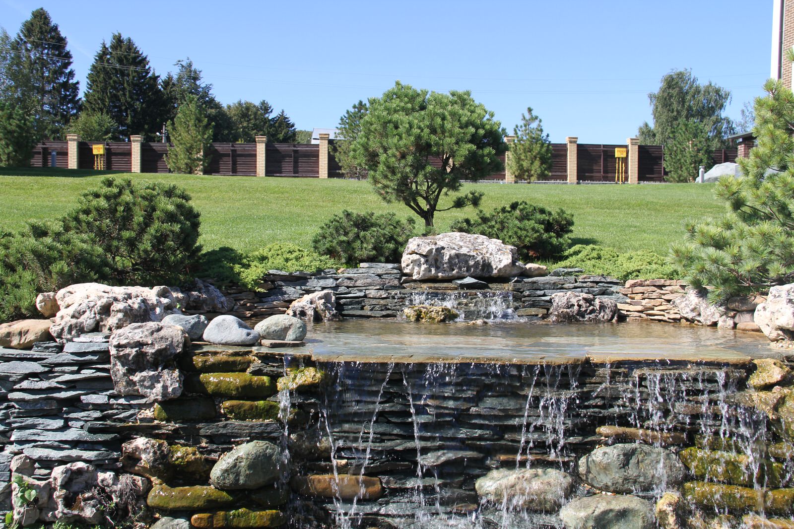 Благоустройство и озеленение участка 50 соток  на Дмитровском шоссе.