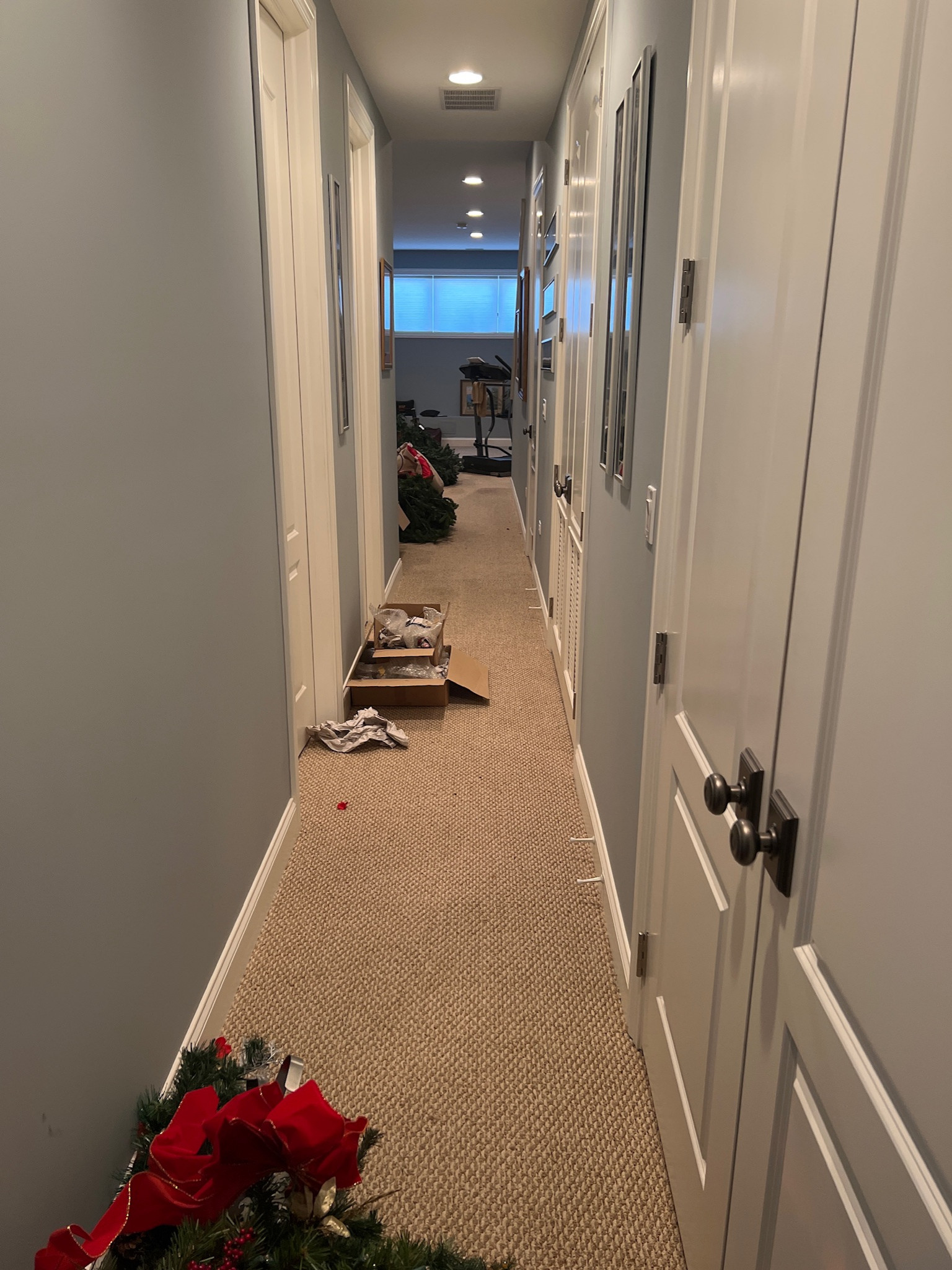 Bucktown, basement remodel