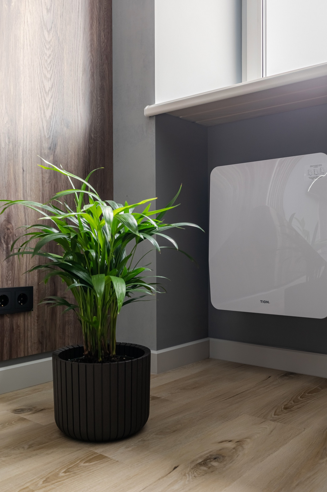 Солнце в темноте