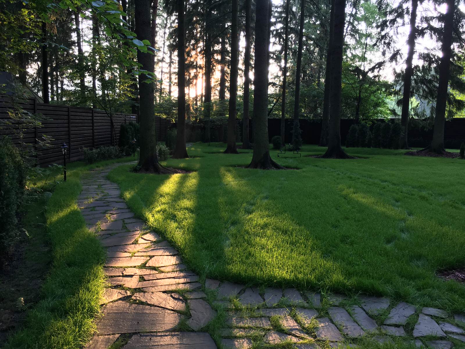 Проект Грибово