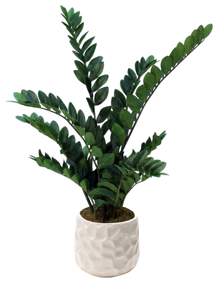 Zz Plant in Large White Gabi Pot Modern Artificial Plants And Trees