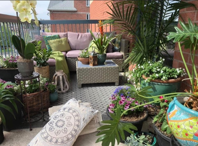 OASIS URBAIN