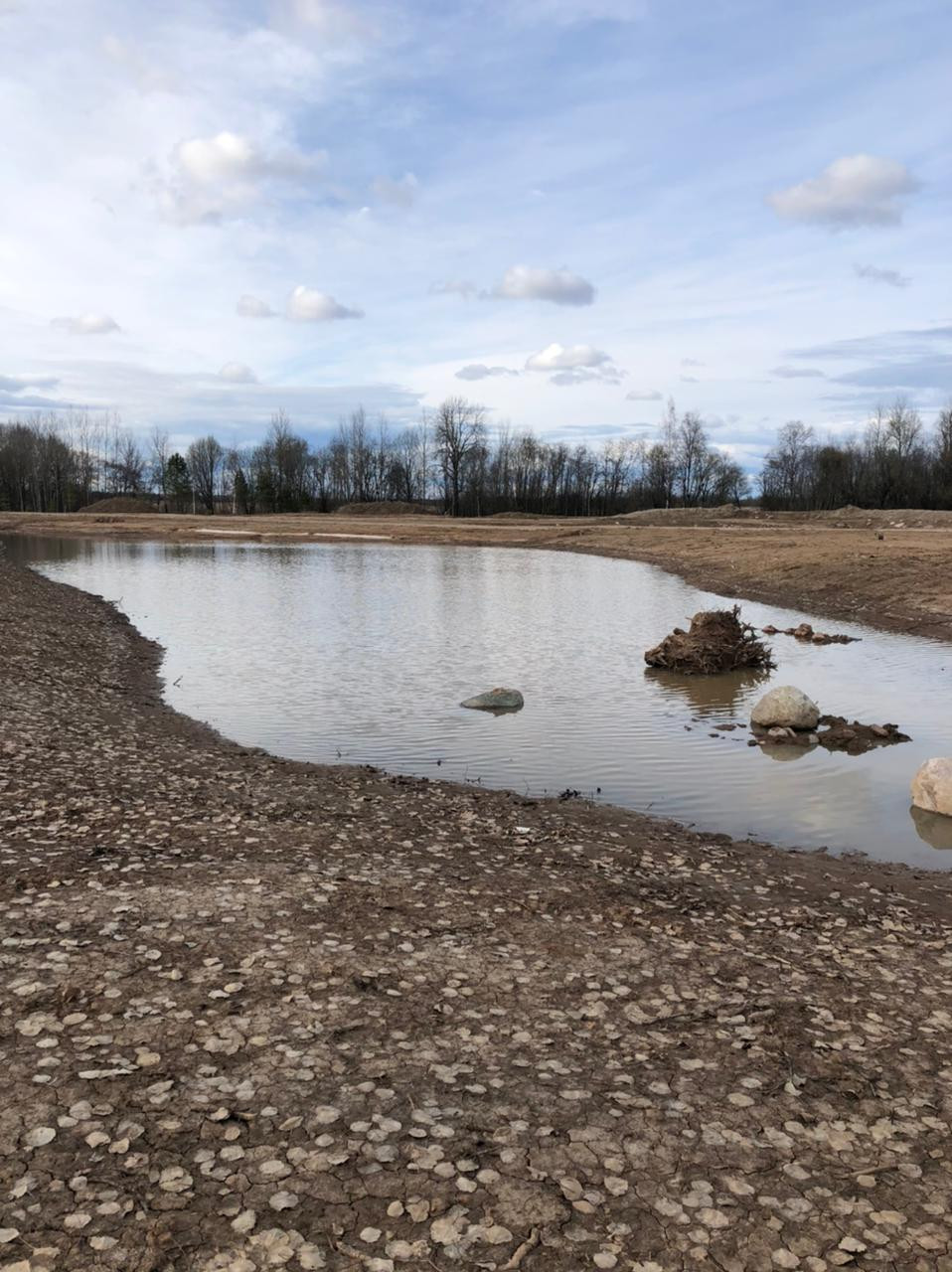 Пермакультурная агроусадьба. Рыбные пруды