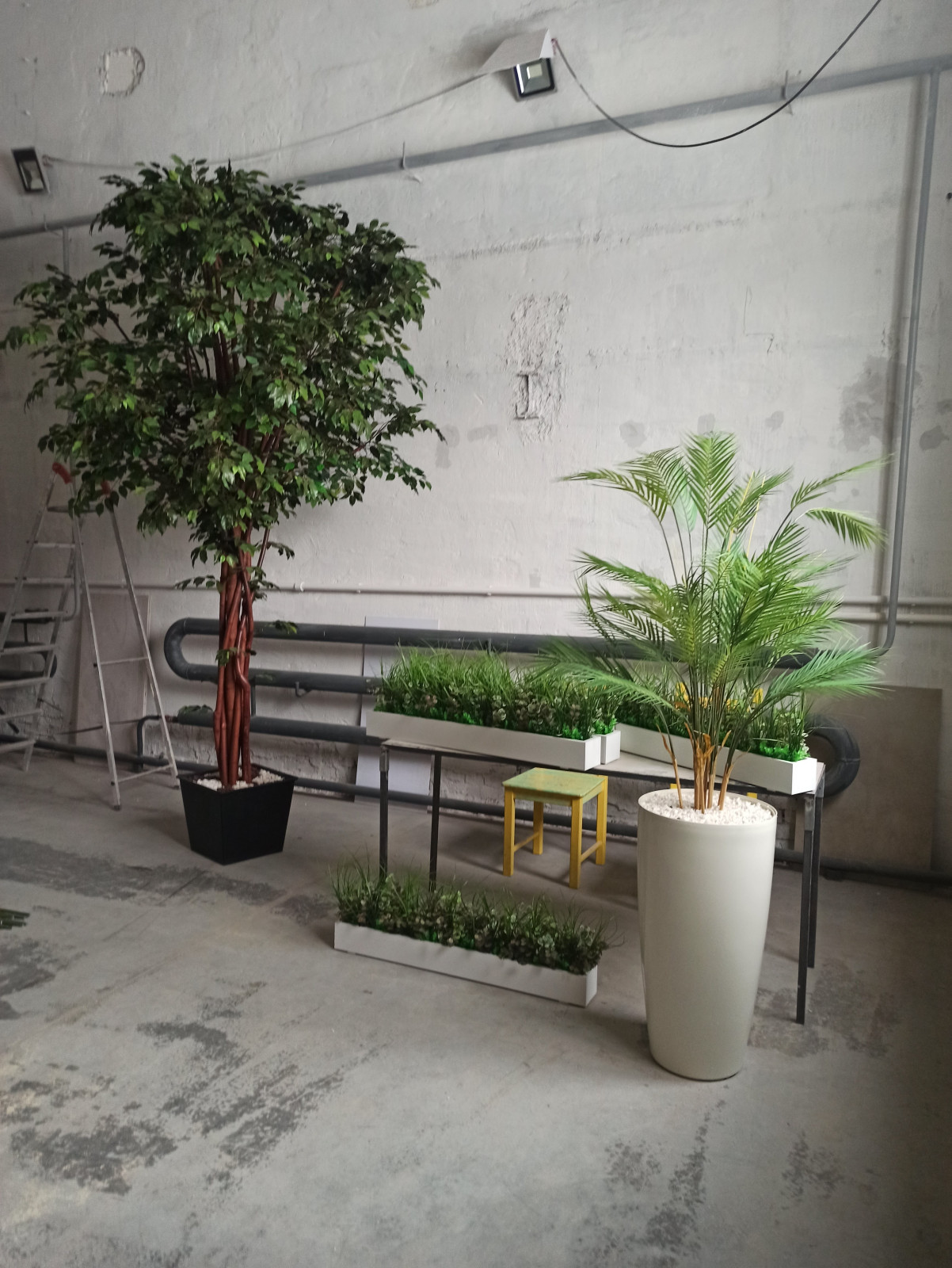 Крупномерные деревья для МармеладЛэнд