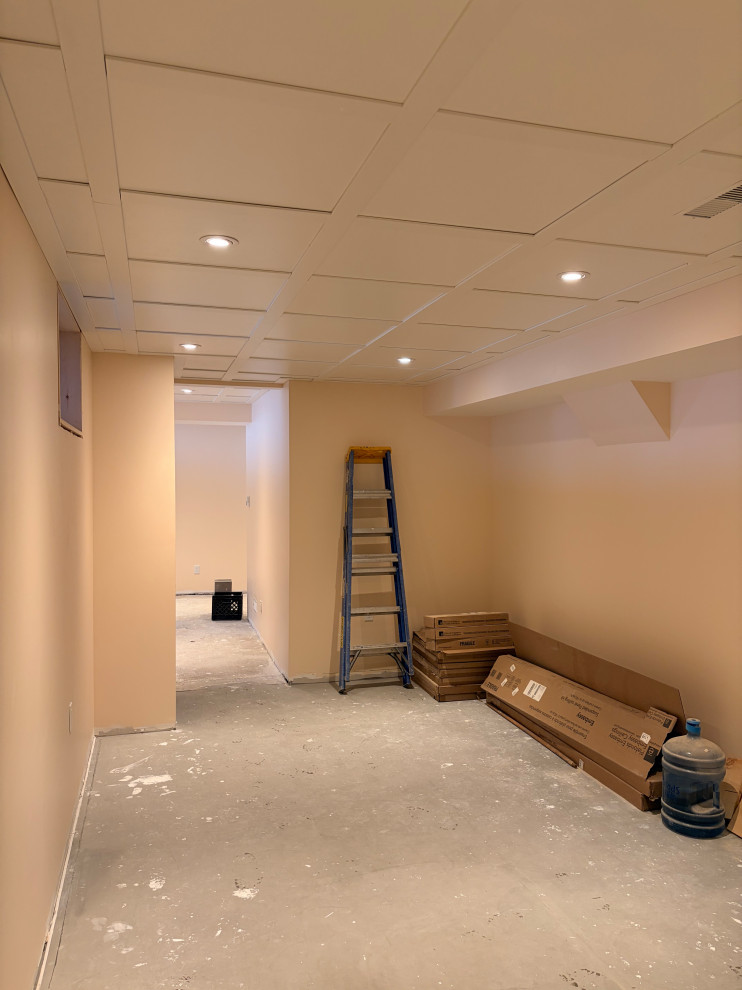 Basement Renovation