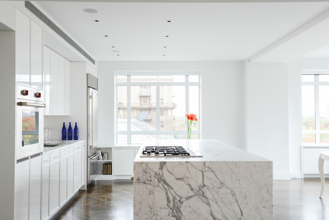 In Progress - Central Park West modern-kitchen
