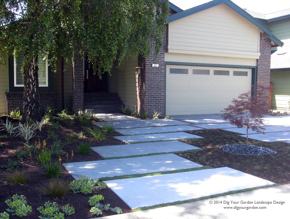 Expansive contemporary front yard shaded driveway in San Francisco for spring.