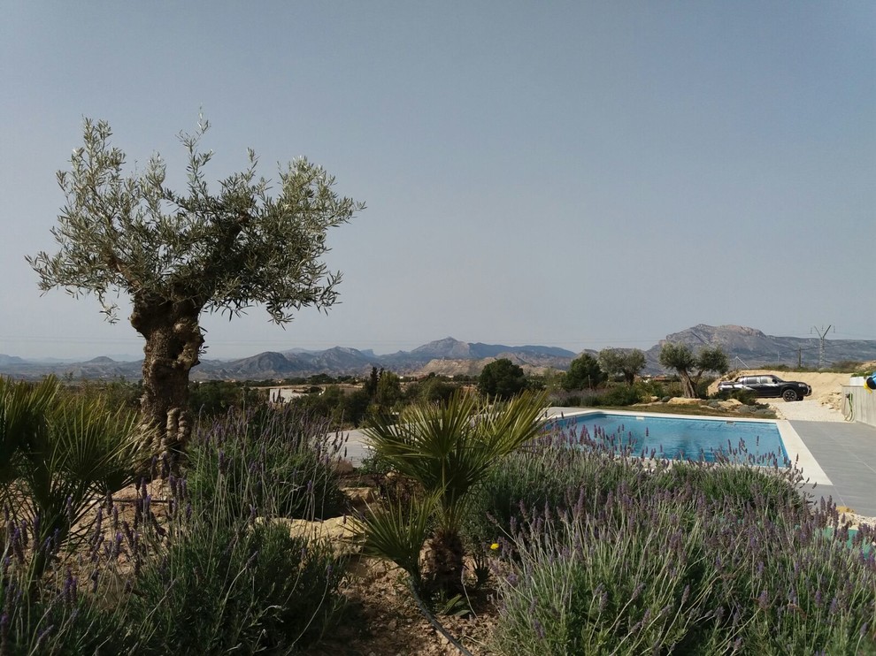 Modelo de camino de jardín mediterráneo con exposición total al sol