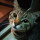 paolo_gravano