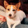 peggy_abernathy29