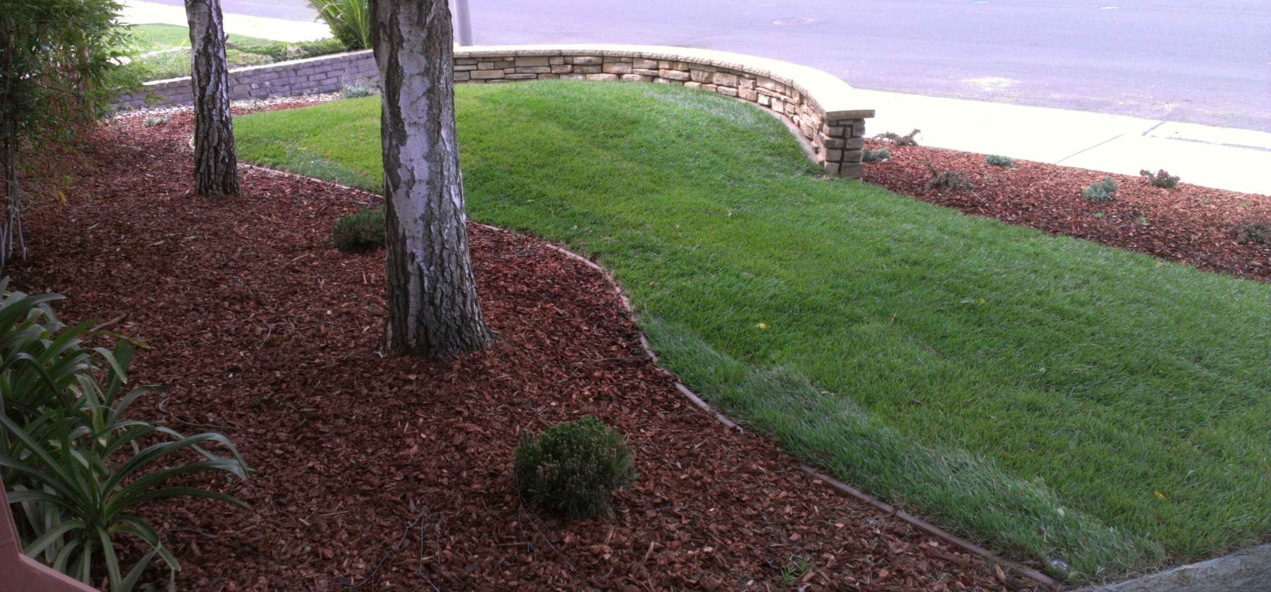 From the Front Door: Layered Landscape with Soft Mounding and Fresh Plantings