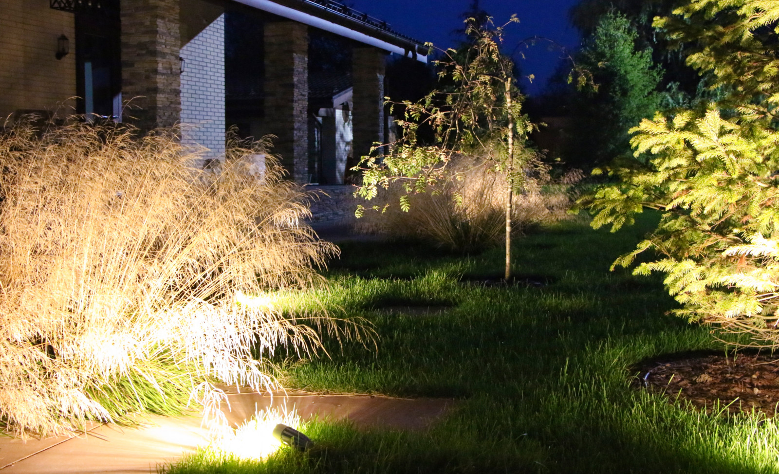 Петровское, ночной сад, 2018-2020 гг.