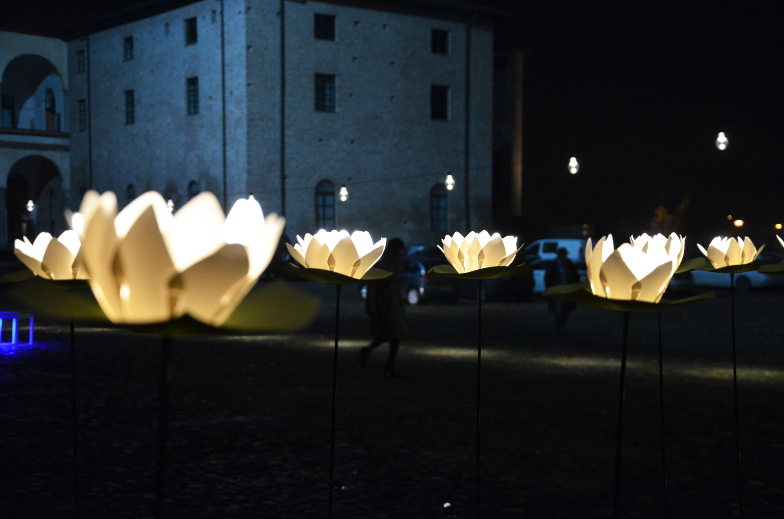 PALAZZO FARNESE | Piacenza | 2014