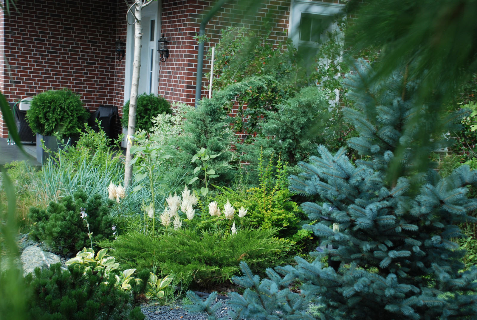 Современный сад в КП "Променад"