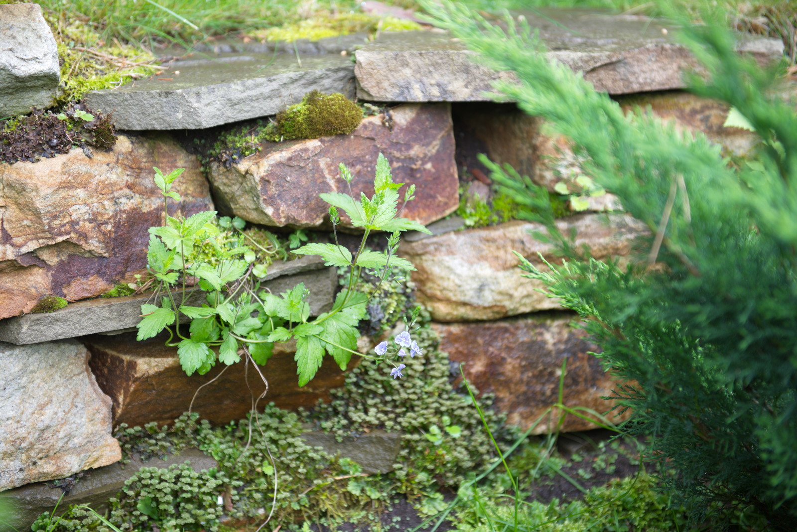 Детали и нюансы