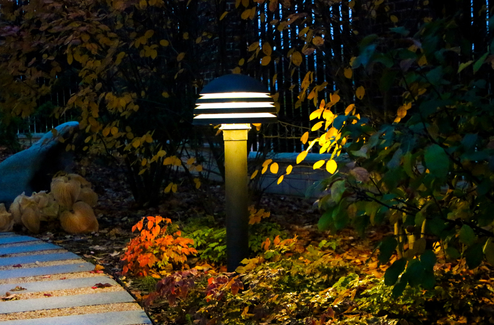 Горки-10, ночной сад, 2017-2020 гг.