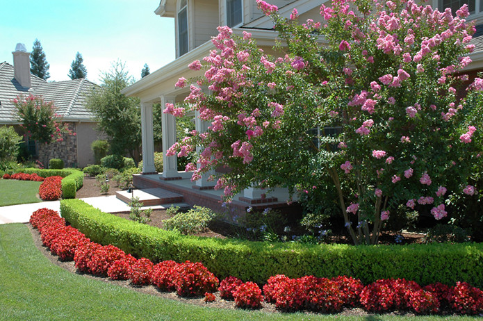 Photo of a large traditional front yard full sun formal garden in Other with mulch.