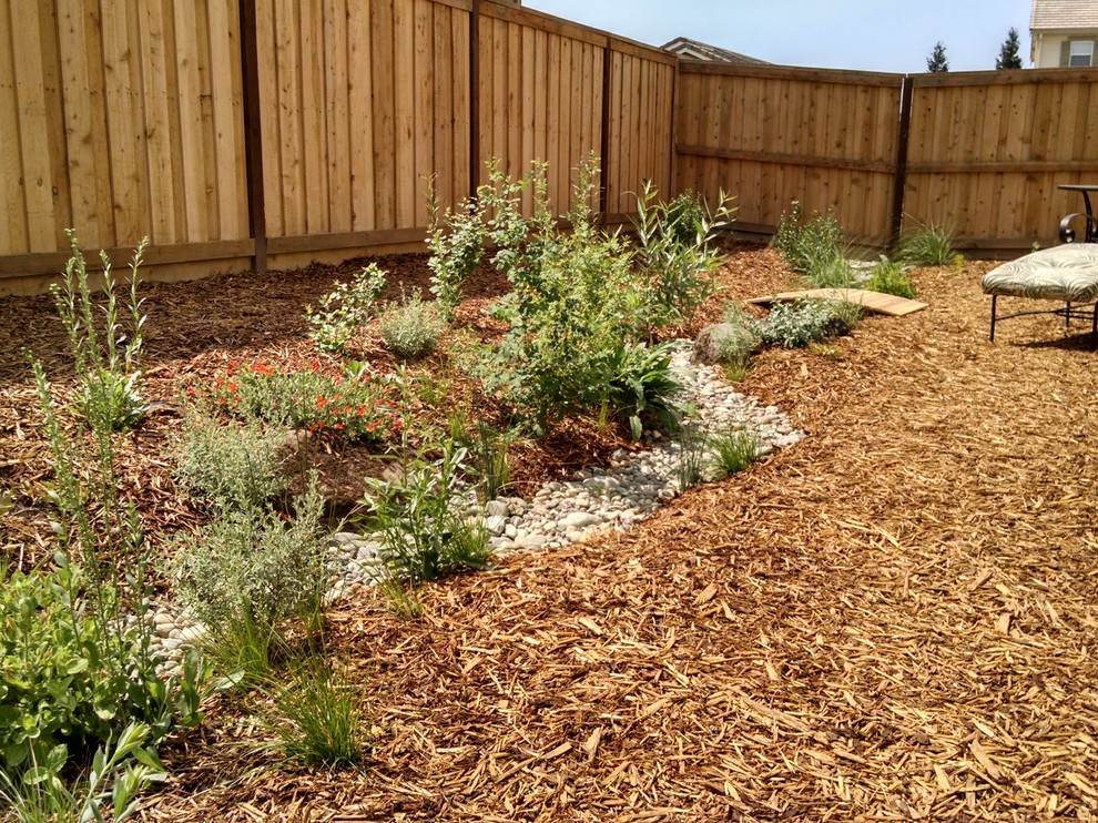 Riparian zone along streambed fed by downspouts Landscape Sacramento by California Natural
