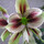 Last commented by Roll2254