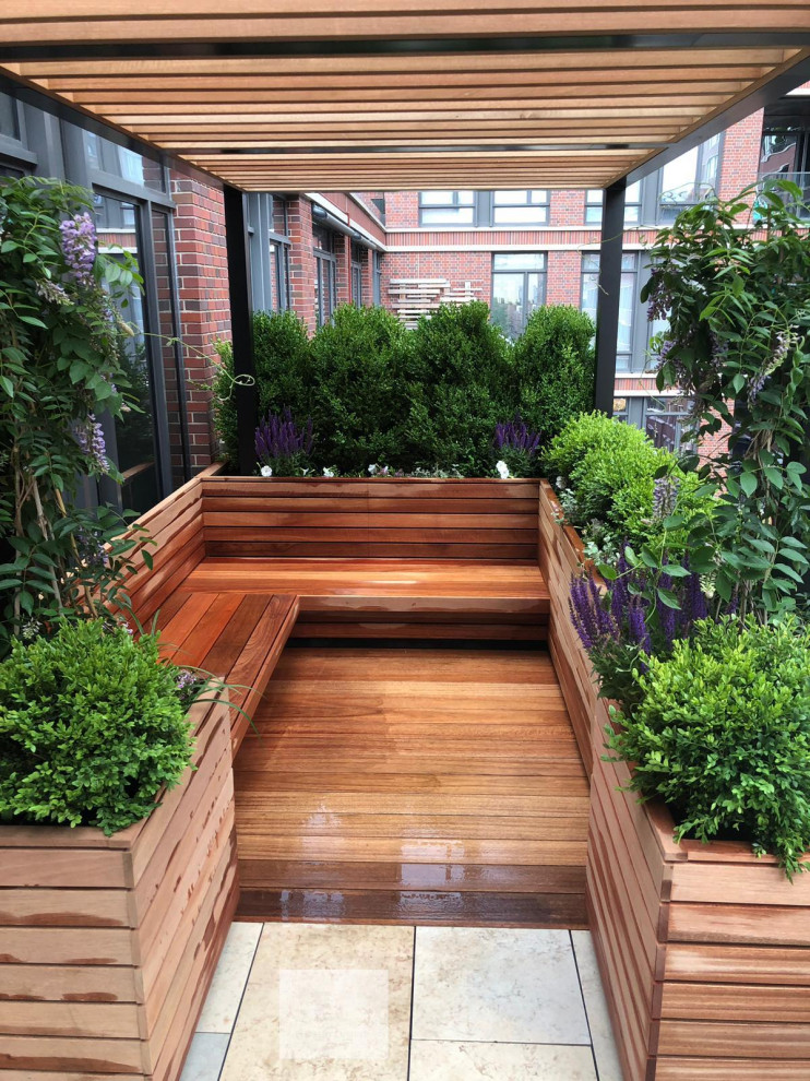 Design ideas for a small contemporary deck in New York with a container garden and a pergola.