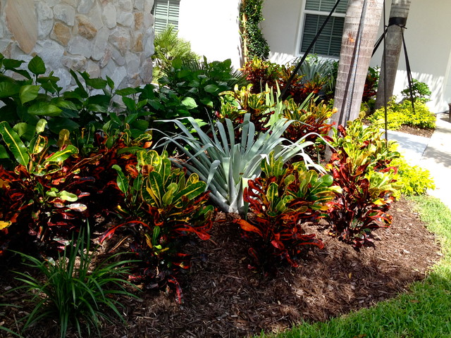 Bromeliad & Croton Planting in Vero Beach - Exótico - Jardín - Orlando