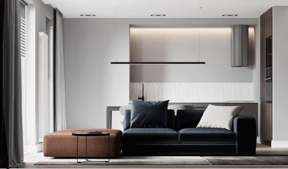 Кухня-гостиная в современном стиле