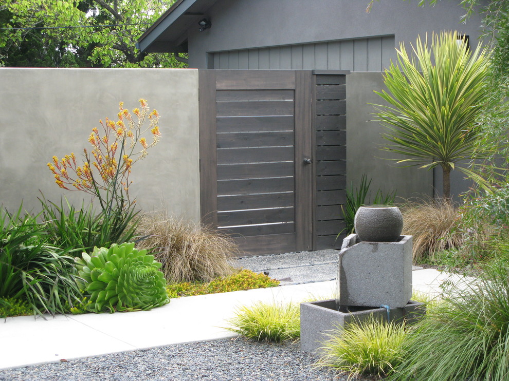 Design ideas for a contemporary garden in San Diego with a water feature.