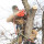 Limbwalker Tree and Stump Service