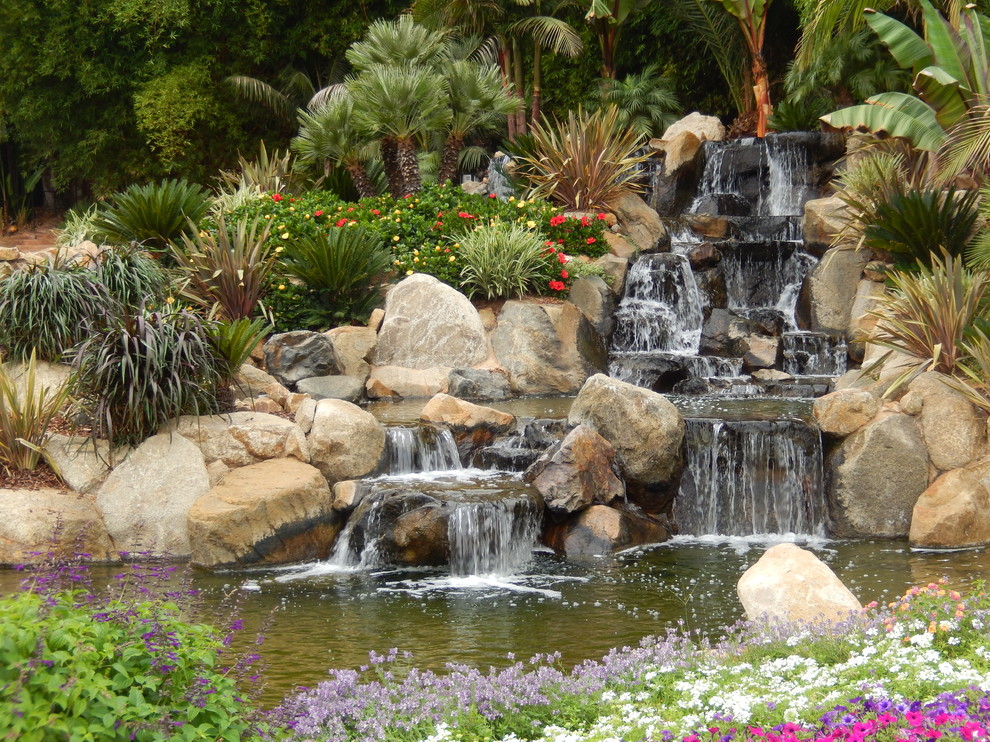 Photo of a tropical garden in San Diego.