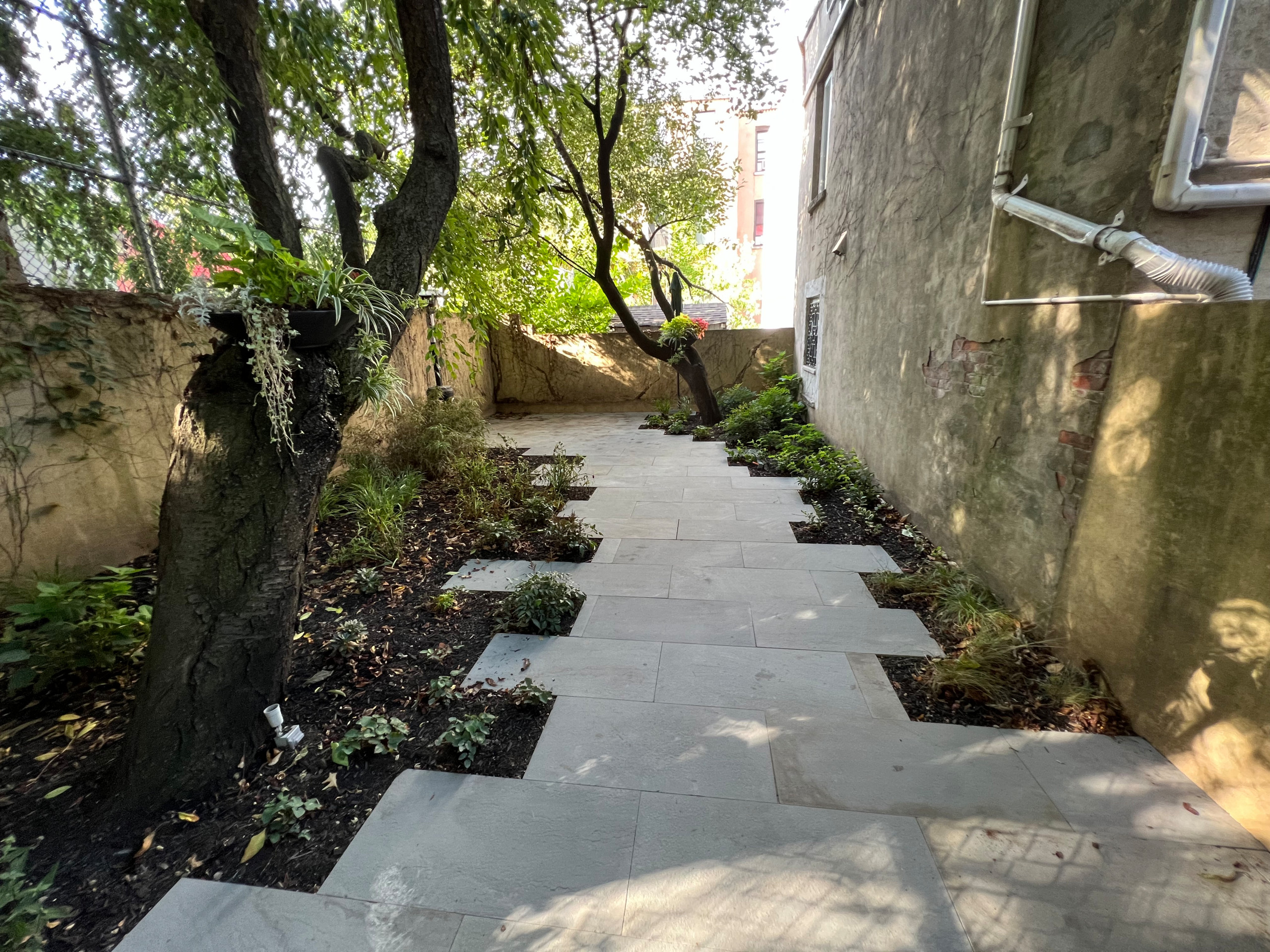 Modern Urban Shade Garden