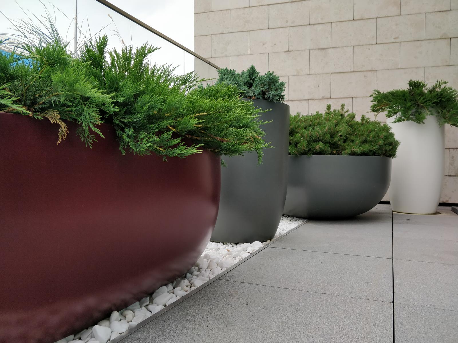 Озеленение крыши в центре Москвы