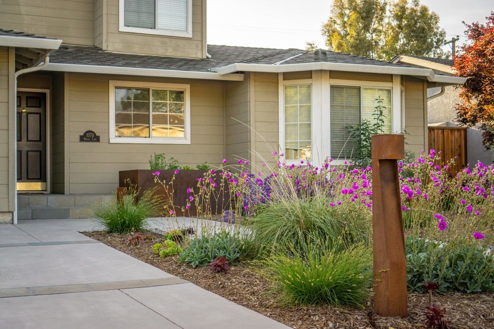 This is an example of a mid-sized modern front yard xeriscape in San Francisco with a container garden and concrete pavers.