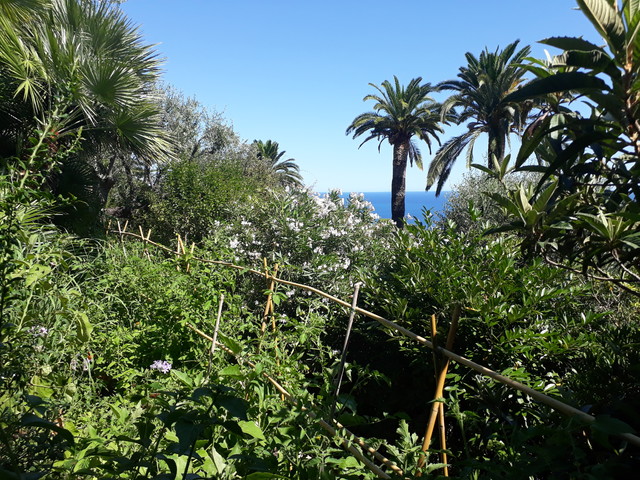 Med Garden mediterranean