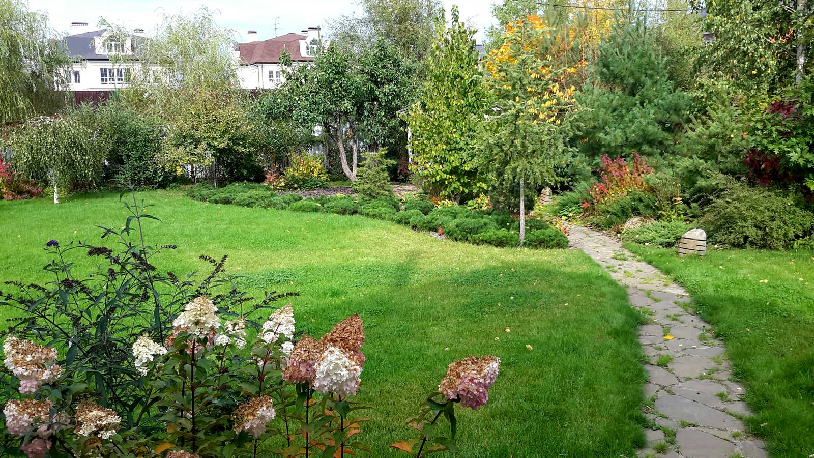 Сад на краю деревни.