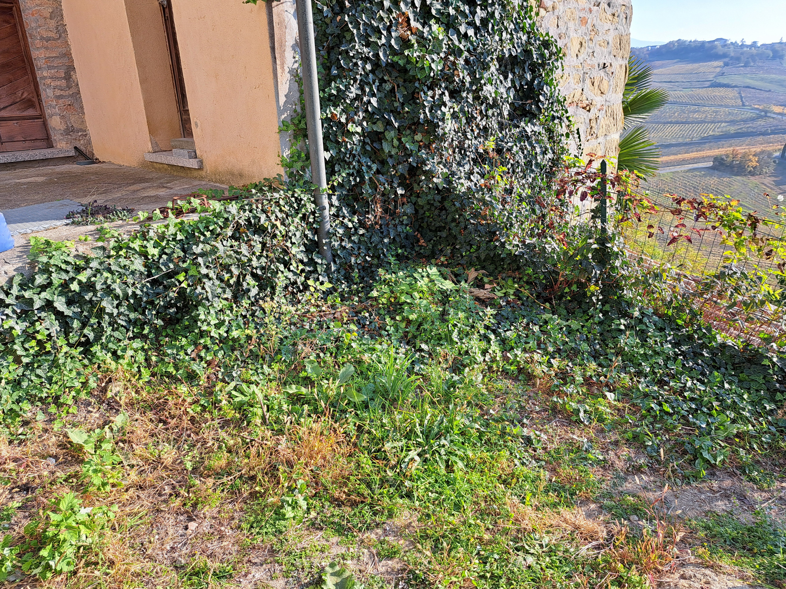 Un giardino sulle colline pavesi