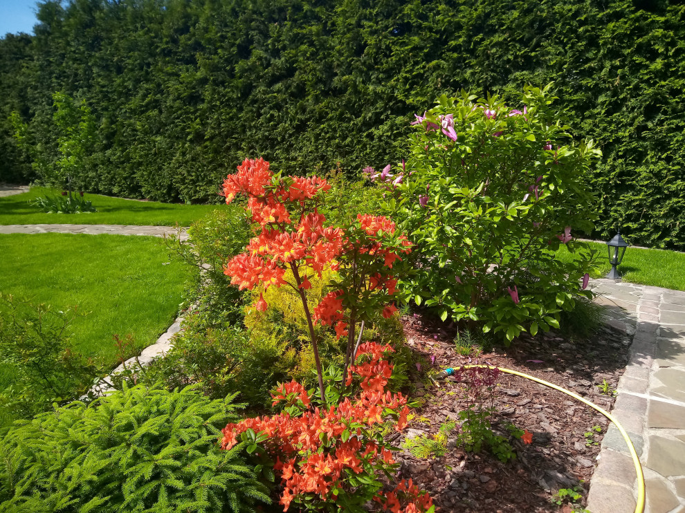 Уход за растениями