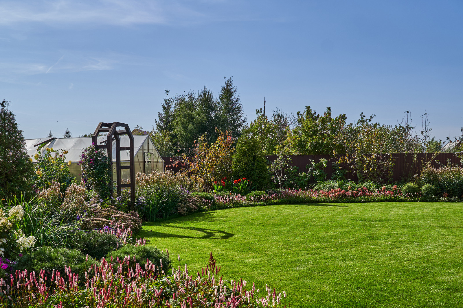 Сад в розовой дымке