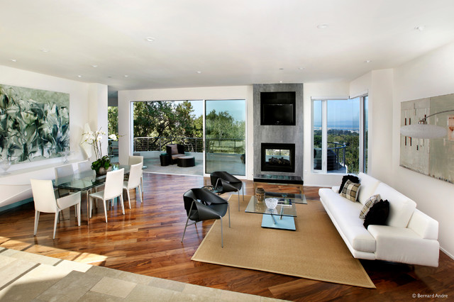 Hillsborough Modern Home minimalistisch-wohnbereich