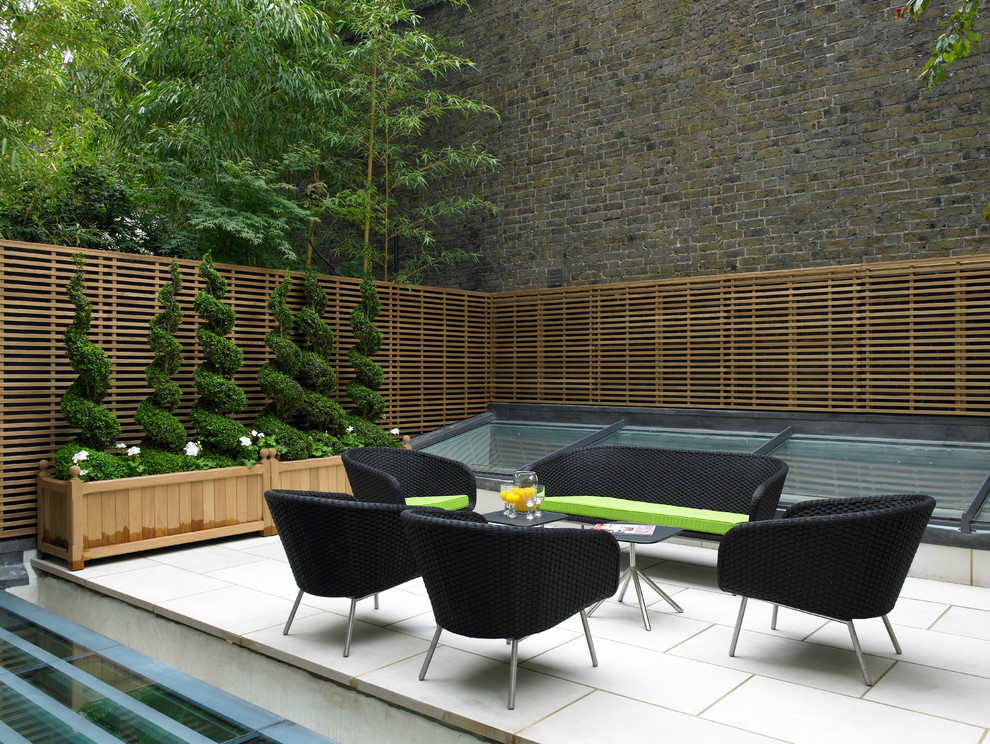 Inspiration for a mid-sized contemporary backyard patio in London with no cover and a container garden.