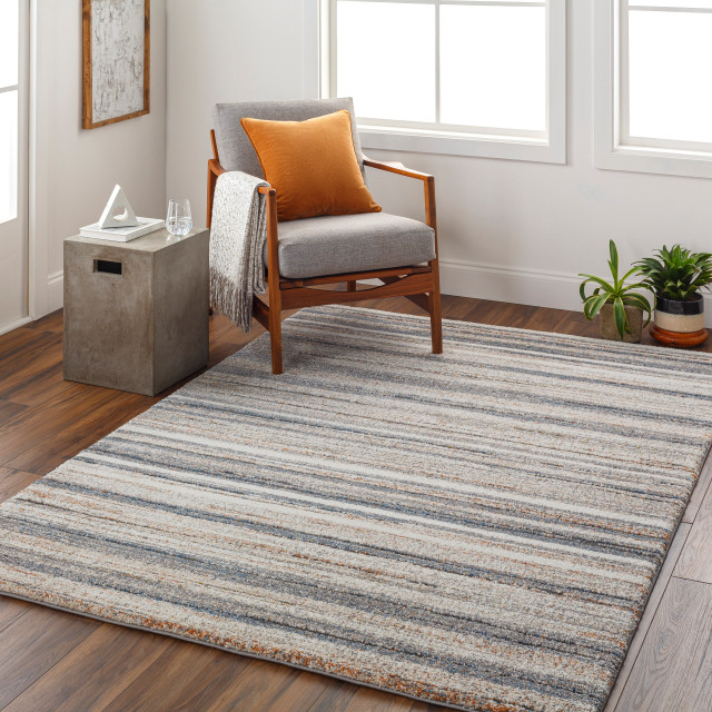 Surya Tuscany TUS2340 Machine Woven Area Rug, 4'3" x 5'7" Contemporary Area Rugs by Surya