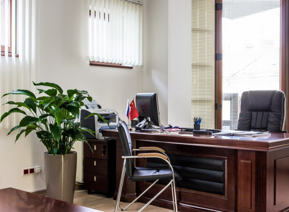 ОФИСНОЕ ОЗЕЛЕНЕНИЕ