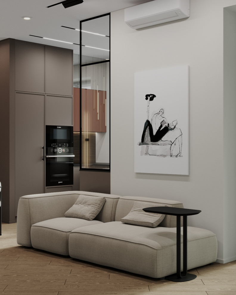 Проект квартиры для двоих. г.Брянск