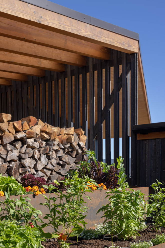 Imagen de fachada de casa marrón y negra minimalista de tamaño medio de una planta con revestimiento de madera, tejado de un solo tendido, tejado de metal y panel y listón