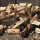 Sandy Hook Firewood