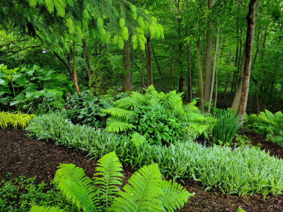 Design ideas for a small traditional landscaping in Grand Rapids.